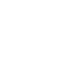 Diocese-Logo